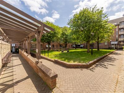Picture 15